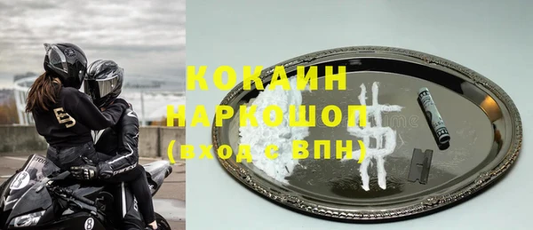 прущие грибы Переславль-Залесский