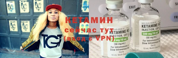 прущие грибы Переславль-Залесский