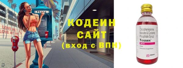 прущие грибы Переславль-Залесский