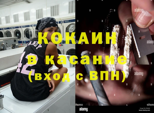 прущие грибы Переславль-Залесский