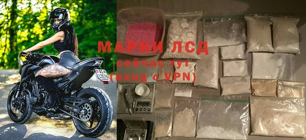 прущие грибы Переславль-Залесский