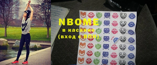 прущие грибы Переславль-Залесский