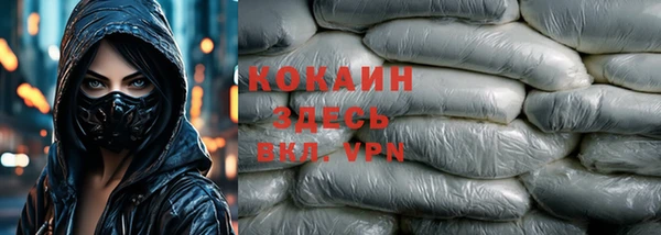 прущие грибы Переславль-Залесский