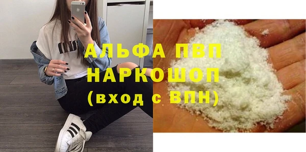 прущие грибы Переславль-Залесский