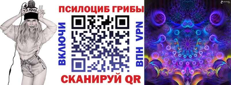 ОМГ ОМГ как зайти  Мытищи  Галлюциногенные грибы Psilocybine cubensis  цена  